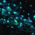 Private Tour: Ruakuri Cave, Waitomo Glowworm & Hobbiton Movie Set - Authentic Experiences and Guides