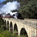 Private Tour to Dandenong Ranges & Puffing Billy Steam Train - Analyzing the Value