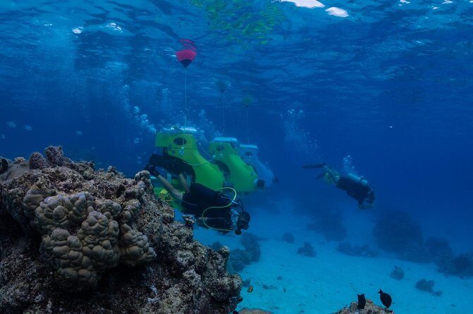 Private Tour: Underwater Scooter Bora Bora - What to Expect from the Tour Itinerary