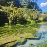 Private Tour WaiOtapu & Huka Falls & Blue springs from Auckland - What We Think About the Tour: A Real Blend of Scenic Marvels