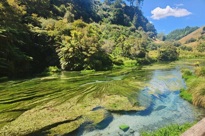 Private Tour WaiOtapu & Huka Falls & Blue springs from Auckland - What We Think About the Tour: A Real Blend of Scenic Marvels