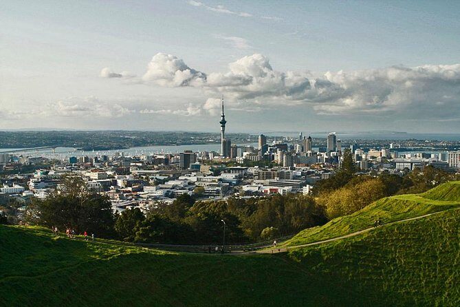 Private Tour: Waitomo Caves Day Trip from Auckland - Potential Drawbacks and Considerations