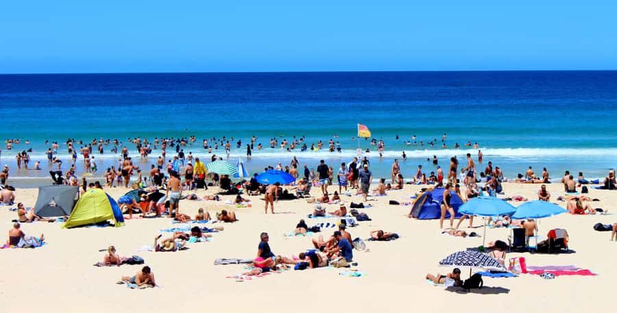 Private Tours: Full-Day Sydney City And Sightseeing Tour - The Value of a Private, Personalised Experience