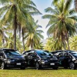 PRIVATE TRANSFER Cairns Airport  Port Douglas Minibus (6am-5pm) - Who Should Book This?