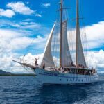 Private Transfer: Coral Coast to Nadi Airport - 1 to 4 Seat Vehicle - Why This Transfer Offers Great Value