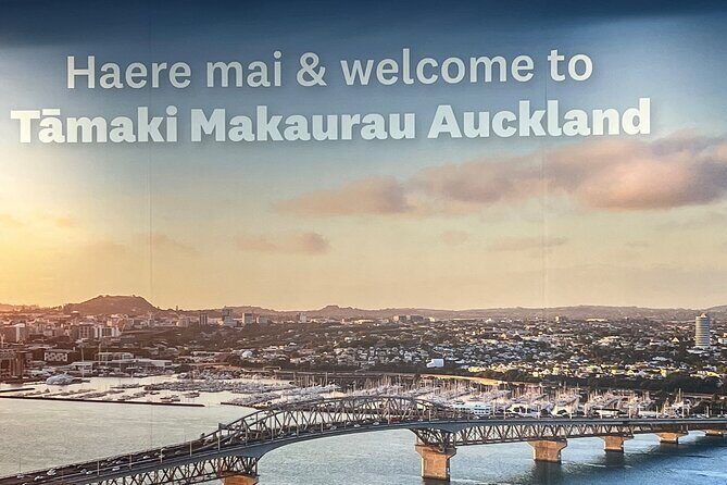 Private Transfer From Auckland Airport To Cambridge - Who This Service Is Best For