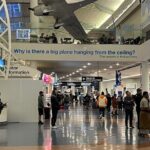 Private Transfer From Auckland Airport To Rotorua - Scenic Views and Stops along the Way