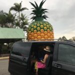 Private Transfer from Sunshine Coast Airport to Noosa up to 5 pax - Service Quality and Customer Feedback