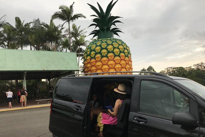 Private Transfer from Sunshine Coast Airport to Noosa up to 5 pax - Service Quality and Customer Feedback