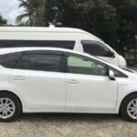 Private Transfer: Nadi Int Airport - The Pearl Resort/Fiji Palms PAC Harbour - The Experience in Detail
