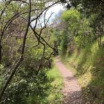 Private Vineyard Bush Walk Tour in Waiheke Island - The Sum Up: Is it worth it?