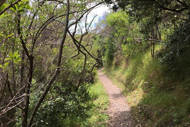 Private Vineyard Bush Walk Tour in Waiheke Island - The Sum Up: Is it worth it?