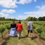 Private Wairarapa Wine Delights Tour from Wellington - A Closer Look at the Itinerary