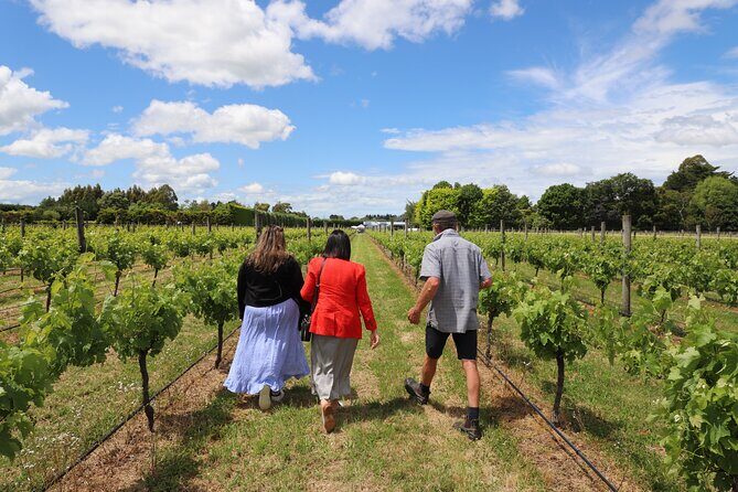 Private Wairarapa Wine Delights Tour from Wellington - A Closer Look at the Itinerary