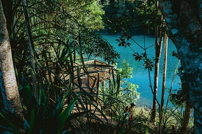 Private Waterfall and Rainforest Day Tour - FAQ