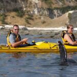 Private Wildlife Kayaking Tour - Kaikoura - Who Should Consider This Tour?