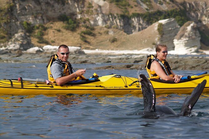 Private Wildlife Kayaking Tour - Kaikoura - Who Should Consider This Tour?