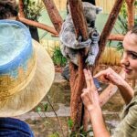 Private Wildlife Waterfalls and Wine Day Tour from Sydney - Who Should Consider This Tour?