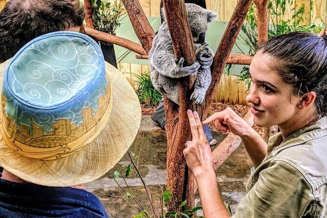 Private Wildlife Waterfalls and Wine Day Tour from Sydney - Who Should Consider This Tour?