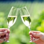 Private Wine Tour in Hunter Valley Pokolbin - What’s Included and What’s Not