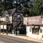 Puffing Billy and The Dandenong Ranges Private Experience - Who Will Love This Tour?