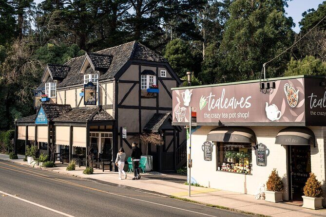 Puffing Billy and The Dandenong Ranges Private Experience - Who Will Love This Tour?