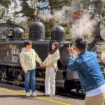 Puffing Billy, Forest Trails and Yarra Valley Discovery Tour - The Puffing Billy Experience