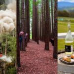 Puffing Billy, Forest Trails & Yarra Valley Discovery Tour - What’s Included and What to Keep in Mind