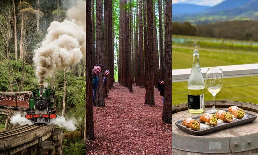 Puffing Billy, Forest Trails & Yarra Valley Discovery Tour - What’s Included and What to Keep in Mind