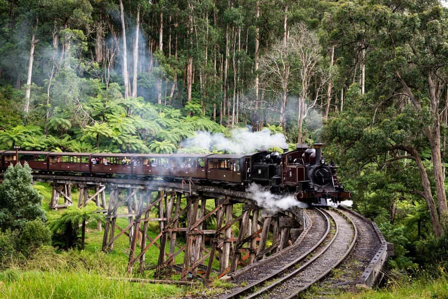 Puffing Billy, Healesville Sanctuary & Chocolatier - What Makes This Tour a Great Choice?