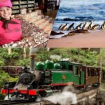 Puffing Billy Penguin Parade Winery Chocolaterie All-in-One - The Value of the Tour