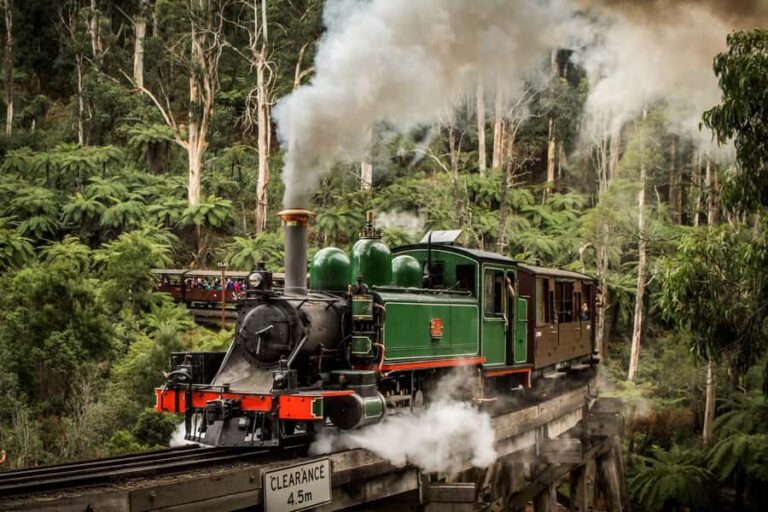 Puffing Billy Railway: Heritage Steam Train Journey - What You Can Expect During the Journey