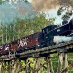 Puffing Billy Tour and Penguin Parade from Melbourne - Who Will Love This Tour?