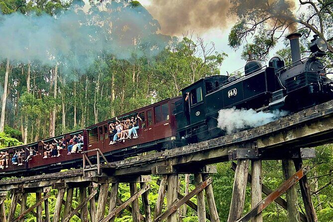 Puffing Billy Tour and Penguin Parade from Melbourne - Who Will Love This Tour?