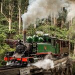 Puffing Billy Train and Phillip Island Penguin Parade Day Tour - Potential Drawbacks and Considerations