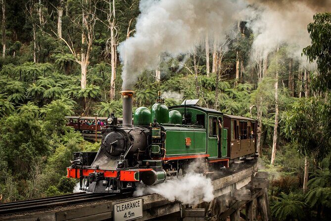 Puffing Billy Train and Phillip Island Penguin Parade Day Tour - Potential Drawbacks and Considerations