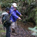 Puketi Rainforest Guided Walks .This is not a Shore Excursion product . - Practical Details and Tips