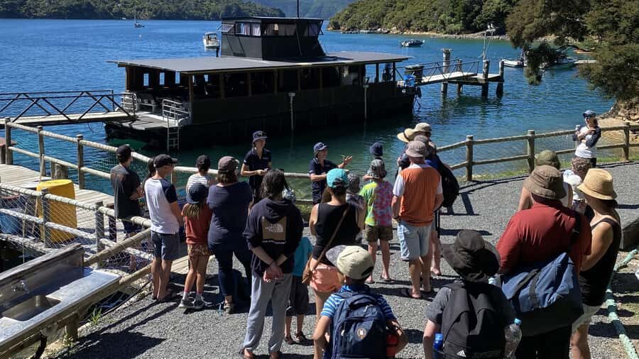 Queen Charlotte Sound: Lochmara Cruise & Explore 9-2.45 - Why This Tour Works Well