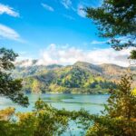Queen Charlotte Track: Cruise & Self-Guided Hike from Picton - Why You Should Consider This Tour