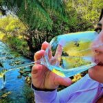 Queen Charlotte Track - Ultimate one Day Walk and Cruise - Final Thoughts