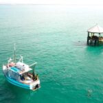 Queenscliff Harbour: 3.5hr Seal & Dolphin Snorkelling Tour - Itinerary Breakdown: What Makes Each Stop Special