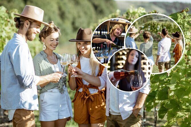 Queenstown Afternoon Wine Tour - Peregrine | Kinross | Amisfield - Final Thoughts