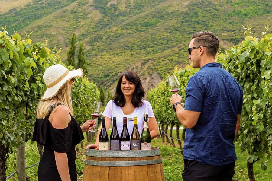 Queenstown: Classic Wine Tour - Final Thoughts: The Value and Who Its for