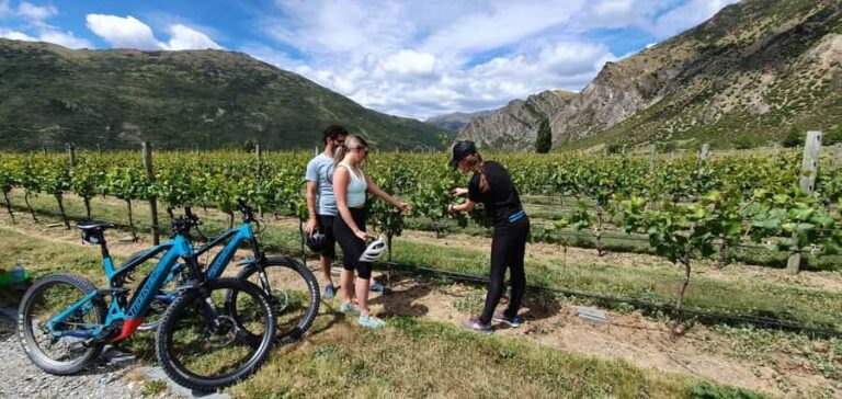 Queenstown: Guided E-Bike Tour with Winery Visits & Tastings - A Detailed Look at the Queenstown E-Bike & Winery Tour Experience