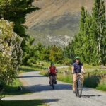 Queenstown Guided E-bike Wine Tour - Why Choose This Tour?