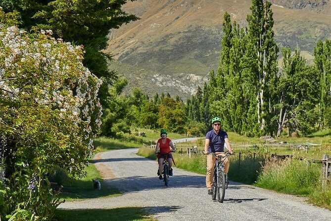 Queenstown Guided E-bike Wine Tour - Why Choose This Tour?