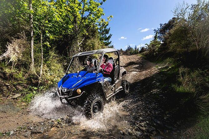 Queenstown Guided Self-Drive Buggy Tour - Detailed Breakdown of the Itinerary