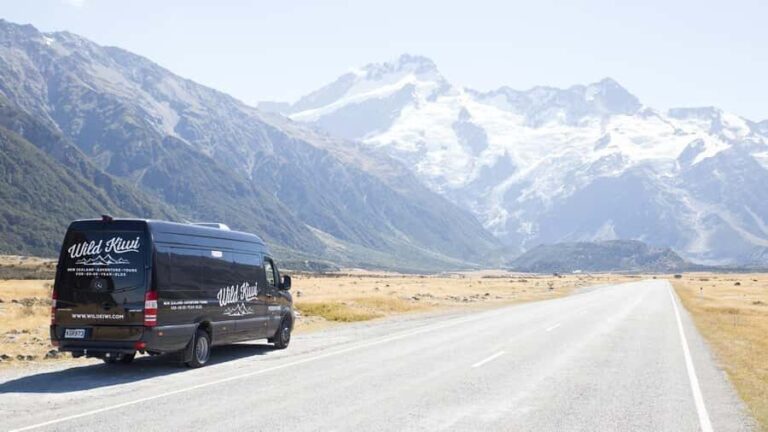 Queenstown: Milford Sound Day Trip - Cruise & Picnic Lunch - Why We Think This Tour Works Well