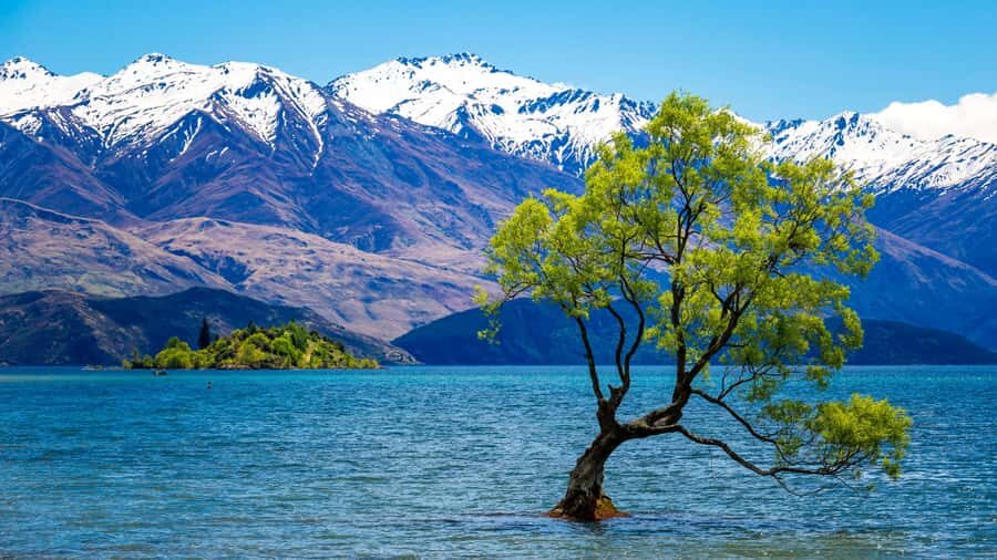 Queenstown: Private 3 Days Trip to Glenorchy Wanaka & Tekapo - The Experience: Comfort, Flexibility & Authenticity