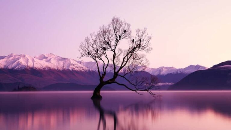 Queenstown: Private Day Trip to Wanaka, Arrowtown & More - Final Thoughts: Who Is This Tour Best For?